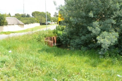 Overgrown land a cause for concern.