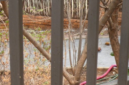 The Pereira's wall could break from the water leak.