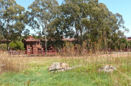 The man's body was found across the road from Linmeyer Gardens townhouse complex in East Road, Linmeyer.