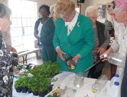 WI members plant herbs in plastic bottles.