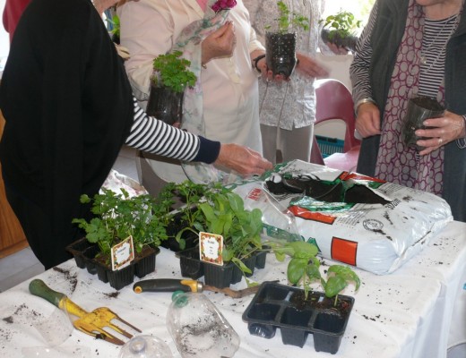 Members of the WI plant herbs.