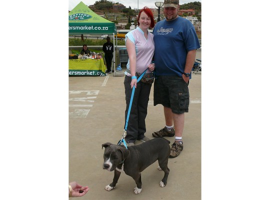 Mr Grey, who is six months old with his owners, Lindy and Juan Maritz.